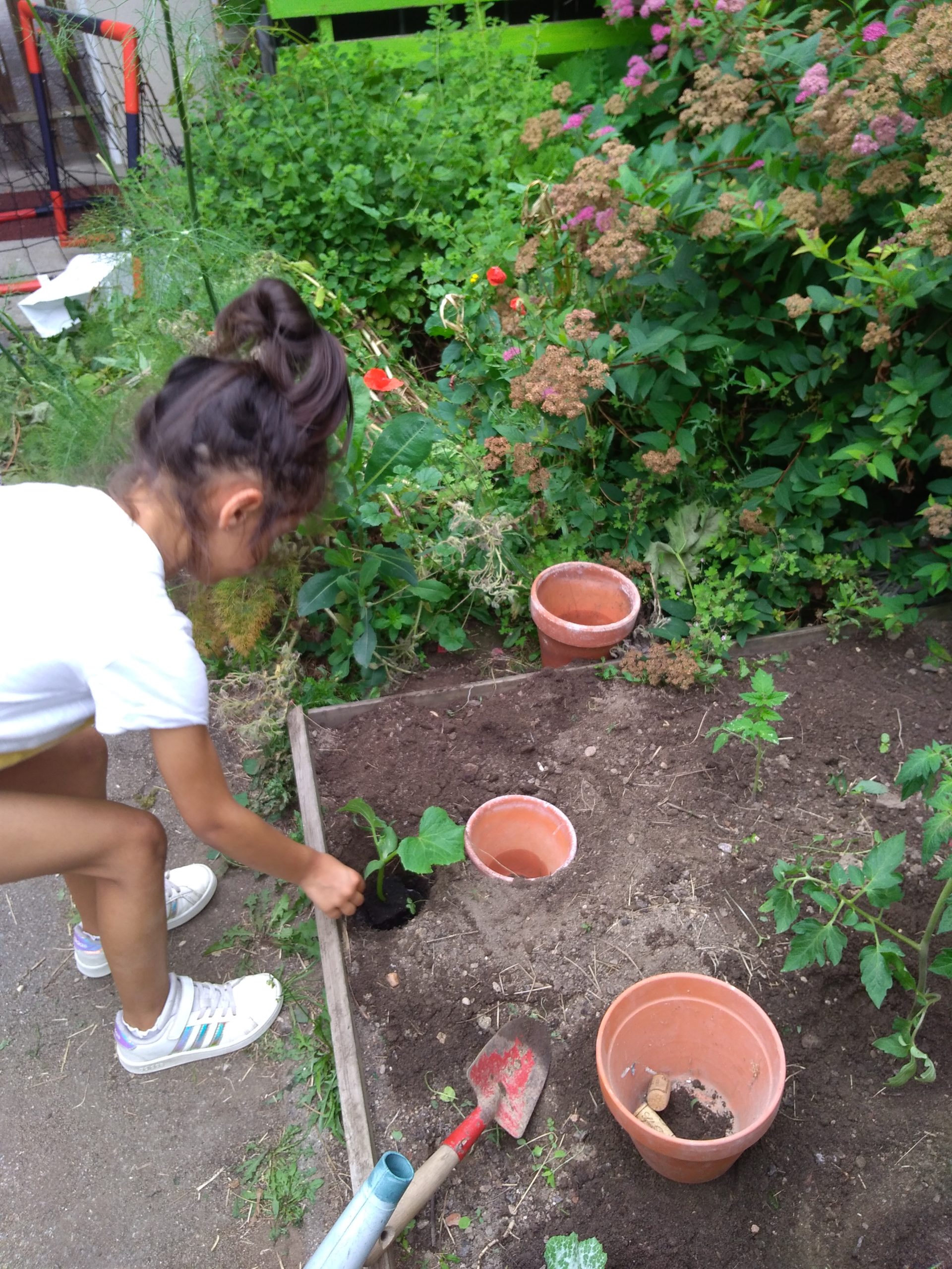 Jardinage et récolte par les classes de CP/CE1 et CE1/CE2