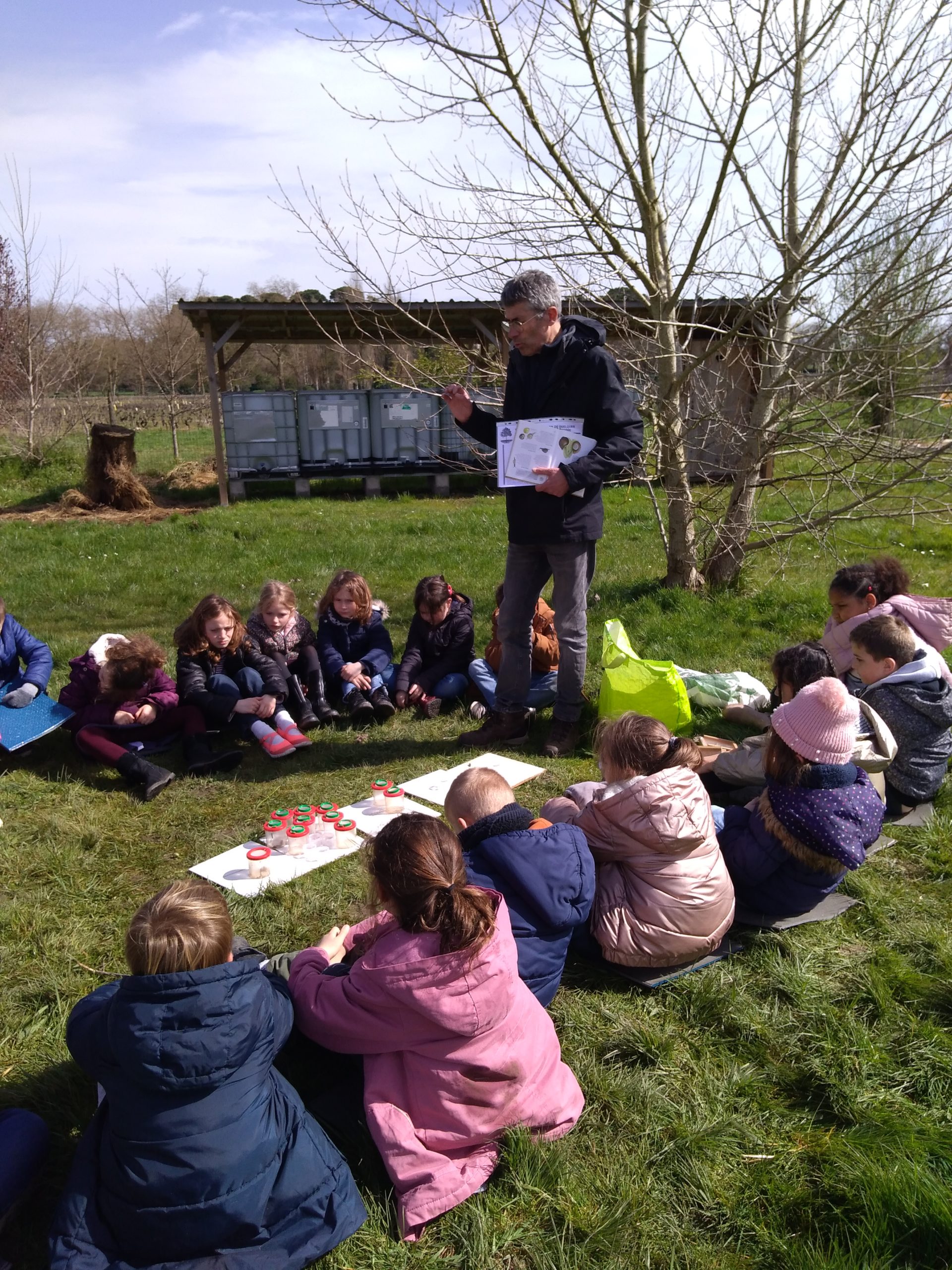 Observation des petites bêtes